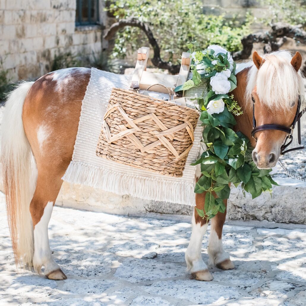 Hidden Creek in-house catering, elegant wedding appetizers, gourmet entrees, plated meals, buffet display, fresh ingredients, wedding reception dining, Rockwall TX catering, Hidden Creek's Summer 2025 Open House near Lake Ray Hubbard Rockwall, TX